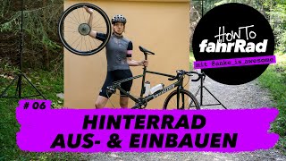 Hinterrad ausbauen amp einbauen ohne Montageständer dafür mit Lama – 6 How To fahrRad [upl. by Bunde989]