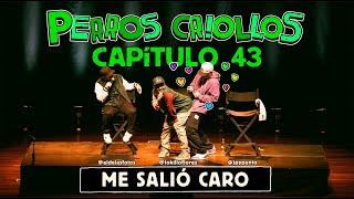 PERROS CRIOLLOS  ME SALIÓ CARO CAP 43 [upl. by Sew]