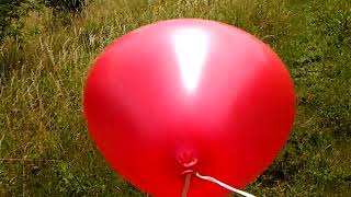 Red helium balloon release [upl. by Ardnas]