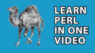 Perl Tutorial [upl. by Eetsirhc]