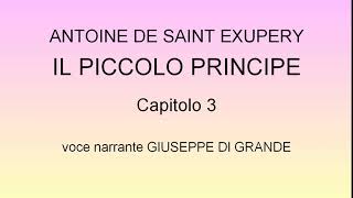 Antoine de Saint Exupéry  Il Piccolo Principe  Capitolo 3 Audiolibro [upl. by Attenweiler]