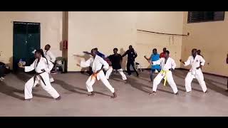 Heian shodan shotokan kata21 movements💯 [upl. by Lashonde]