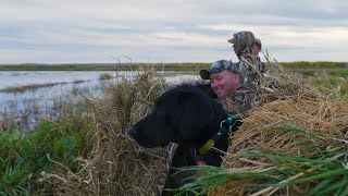 Nebraska Waterfowl Rezoning [upl. by Philbin366]