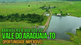 ABAIXOU O PREÇO FAZENDA A VENDA NO VALE DO ARAGUAIA TOCANTINS [upl. by Ylrebma]