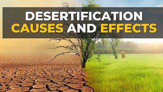 Desertification Causes and Effects  Desertification  What Is Desertification [upl. by Ellives]