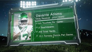 Player Profile Davante Adams [upl. by Siurtemed]