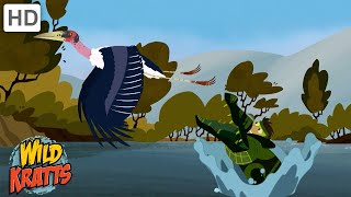 Every Creature Rescue Part 1  Protecting The Earths Wildlife  Wild Kratts [upl. by Arjun]