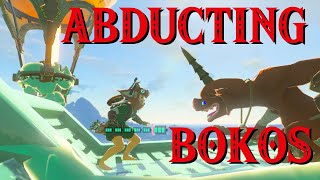 Abducting Bokoblins  The Legend of Zelda Tears of the Kingdom [upl. by Holland]