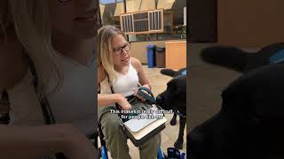 Ableism Disabled Disability Dwarfism Wheelchair Educating Education Mobility Prosthesis [upl. by Riha]