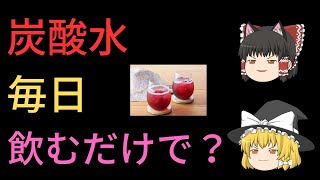 【ゆっくり解説】炭酸水を毎日飲むとどうなる？意外な使い道も？ [upl. by Irtimd]