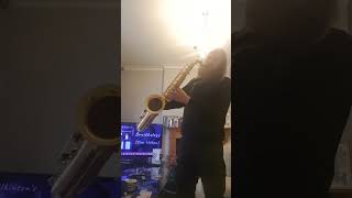 Ornithology Sax Improvisation [upl. by Elleoj]