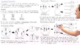 Aneuploidy and Nondisjunction Part II [upl. by Ardnaeel99]