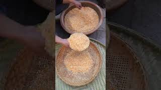 How to make corn flour at home cornflour mycountrylife rularlife shorts [upl. by Ann-Marie]