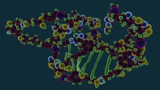 What is Protein Denaturation  Food Science [upl. by Lewap]