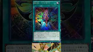 【遊戲王ARCV】【COLLECTORS PACK伝説の決闘者編】『RUM千死蠻巧』雕鑽CR欣賞『RankUpMagic Admiration of the Thousands』 [upl. by Dianna]