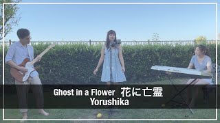 【A Whisker Away】Ghost in a Flower  Yorushika Band Cover [upl. by Goldshlag381]