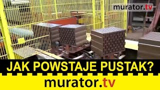 Jak powstaje pustak poryzowany Wizyta w zakładzie produkcji ceramiki [upl. by Gaal]