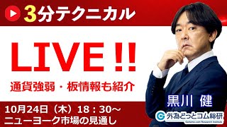 見通しズバリ！3分テクニカル分析「ライブ‼」 ニューヨーク市場の見通し 2024年10月24日 [upl. by Jervis467]