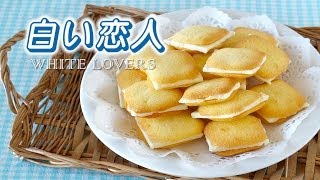 5 Ingredients Shiroi Koibito Chocolat Blanc et Langue de Chat Recipe  OCHIKERON [upl. by Ayotol]