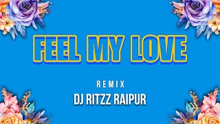 Feel My Love Umakant Barik  DJ RITZZ RAIPUR [upl. by Finnie]