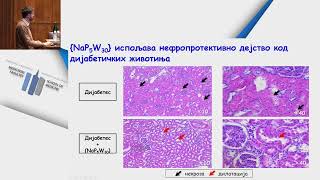 Stremljenja i novine u medicini 2023  51 Simpozijum 2 dan [upl. by Notfol]