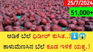 Today arecanut price  Today chali price Today ginger market price Today shivamogga apmc price [upl. by Hanford]