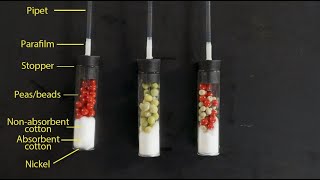 How to Set Up Respirometers [upl. by Muhan]