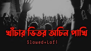 খাচার ভেতর অচিন পাখি  Kachar Betor Ochin Pakhi  SlowedLofi  Lalon Shah sheikh istiaq [upl. by Haliehs]