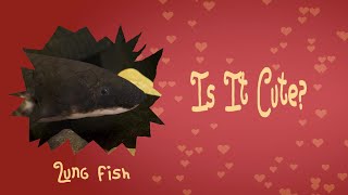 Lungfish the fish that can breathe air but are they cute [upl. by Alenas]