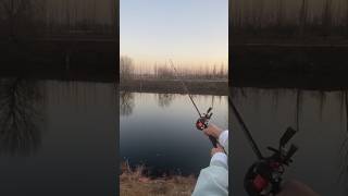 Best fishing rod for hunting viralvideo youtubeshorts [upl. by Pippa804]