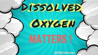 Dissolved Oxygen Matters How Does It Affect Your Aquaculture Species [upl. by Selena421]