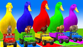 5 Giant Duck CartoonCowMammothTigerLionDinosaurPaint Wild Animals Crossing Fountain Animation [upl. by Boulanger]