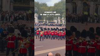 grenadiers scotsguards changingoftheguard buckinghampalace kingsguard respect [upl. by Amme]