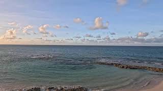 Bahamas Live 🇧🇸🐬Love Beach Live Cam 11082024 [upl. by Esenwahs]