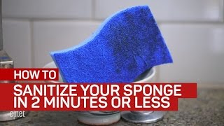 Sanitize your sponge in 2 minutes or less [upl. by Grubb584]