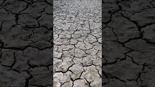 The soil is cracked due to drought [upl. by Proctor554]