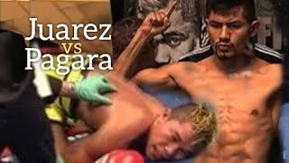 This is what happen when the boxer was over confidentJuarez vs Pagara knockout highlights [upl. by Dammahum74]