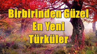 Birbirinden Güzel En Yeni Türküler KESİNTİSİZ  HD 2024 [upl. by Socin603]