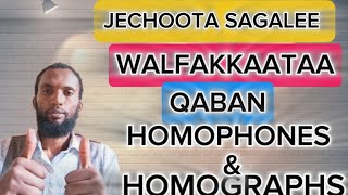 Jechoota sagalee tokko qaban Jechoota barreeffamaan walfakkaatanHomophones amp Homographs [upl. by Alexandro]