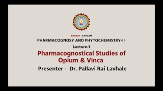 Pharmacognosy and PhytochemistryII  Pharmacognostical Studies of Opium amp Vinca [upl. by Coats370]