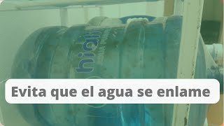 ¿Cómo funcionan los iones de plata para evitar que el agua se ponga verde  Oasis Exprés [upl. by Isahella]