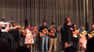 Raymondville High School Mariachi Amor Eterno [upl. by Hcelemile198]