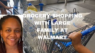 GROCERY SHOPPING 🛒WITH LARGE FAMILY AT WALMART AND FOOD LION [upl. by Trudie]