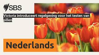 Victoria introduceert regelgeving voor het testen van pillen  SBS Dutch  SBS Nederlands [upl. by Body]