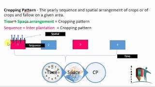 NABARD GRADE A  Chapter V Cropping Pattern Defination and Example with MCQ [upl. by Nacim]