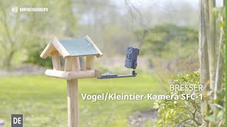 BRESSER VogelKleintierKamera SFC1 [upl. by Amary]