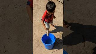 Fisher boy catching fish shorts fish fisherboy catchingfish [upl. by Sert]