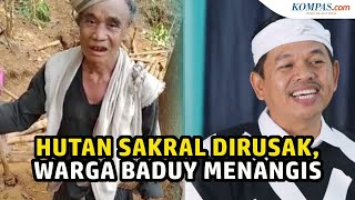 Hutan Sakral Dirusak Penambang dan Bikin Warga Baduy Menangis Dedi Mulyadi Geram [upl. by Nilson]