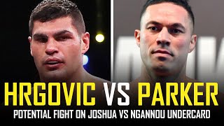 FILIP HRGOVIC VS JOSEPH PARKER  JOSHUANGANNOU UNDERCARD 🤔 [upl. by Ardnuyek]