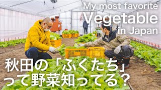 【田舎暮らし】告白「秋田で一番好きな野菜はこれです！」秋田県羽後町 [upl. by Bolger]